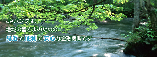 JAバンクは、地域の皆さまのための身近で便利で安心な金融機関です