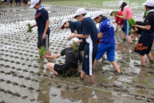 クリックすると画像を拡大します